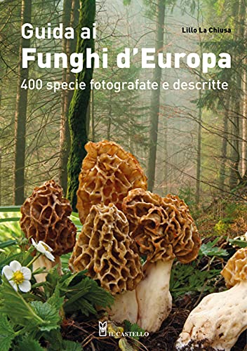 Guida Ai Funghi D'Europa. 400 Specie Fotografate E Descritte. Ediz. Illustrata