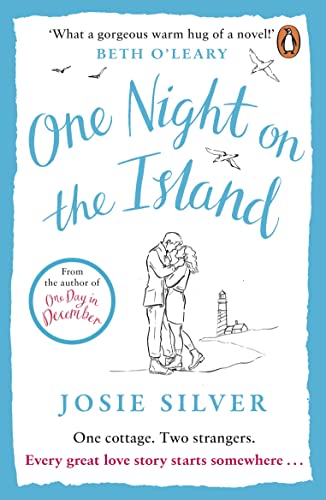 One Night On The Island: Escape To A Remote Island With This Chemistry-Filled Love Story