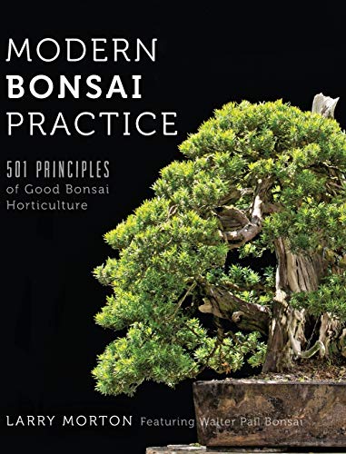 Modern Bonsai Practice: 501 Principles Of Good Bonsai Horticulture