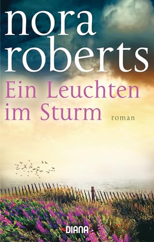 Ein Leuchten Im Sturm: Roman