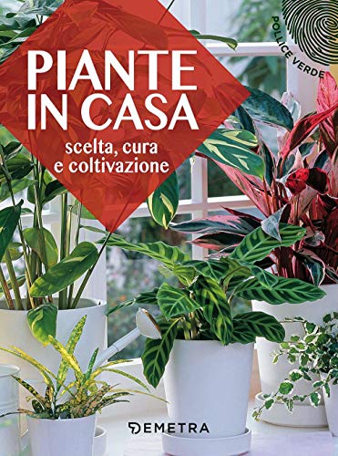 Piante In Casa: Scelta, Cura E Coltivazione