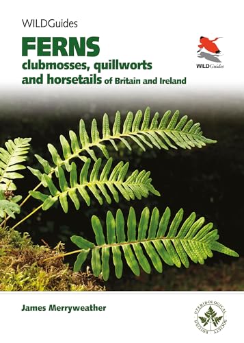 Britain'S Ferns: A Field Guide To The Clubmosses, Quillworts, Horsetails And Ferns Of Great Britain And Ireland