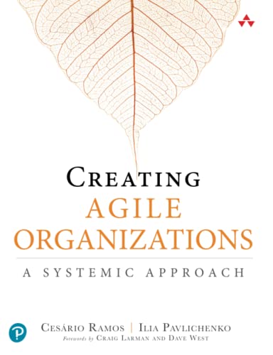 Creating Agile Organizations: A Systemic Approach
