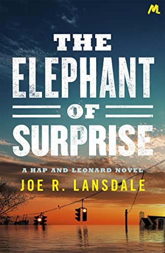The Elephant Of Surprise