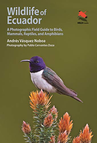 Wildlife Of Ecuador: A Photographic Field Guide To Birds, Mammals, Reptiles, And Amphibians
