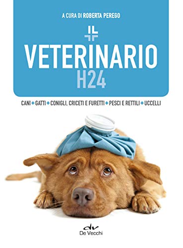 Il Veterinario H24