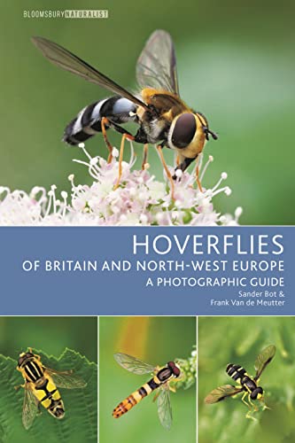 Hoverflies Of Britain And North-West Europe: A Photographic Guide