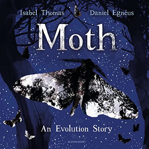 Moth: An Evolution Story