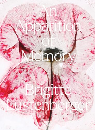 An Apparition Of Memory: An Apparition Of Memory