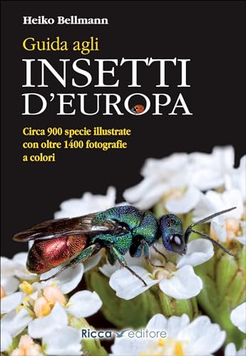 Guida Agli Insetti D'Europa. Ediz. Illustrata