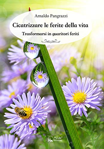 Cicatrizzare Le Ferite Della Vita. Trasformarsi In Guaritori Feriti