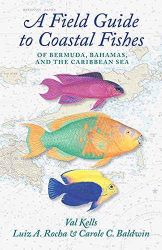 A Field Guide To Coastal Fishes Of Bermuda, Bahamas, And The Caribbean Sea