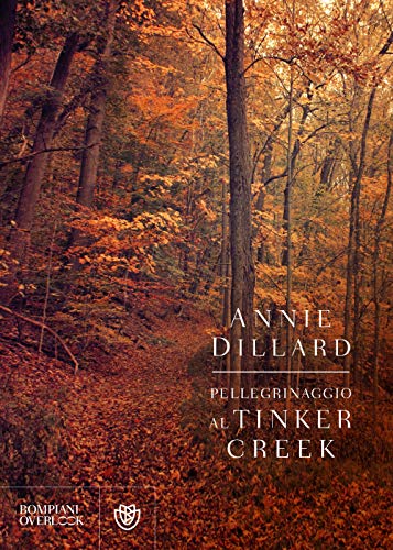 Pellegrinaggio Al Tinker Creek