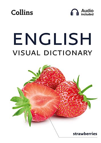 English Visual Dictionary [Lingua Inglese]: A Photo Guide To Everyday Words And Phrases In English