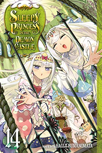 Sleepy Princess In The Demon Castle 14