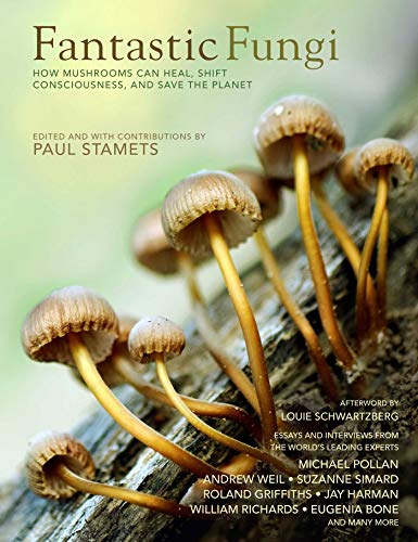 Fantastic Fungi: How Mushrooms Can Heal, Shift Consciousness & Save The Planet