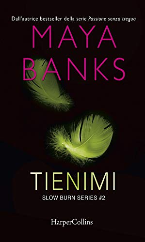 Tienimi. Slow Burn Series (Vol. 2)