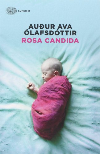 Rosa Candida