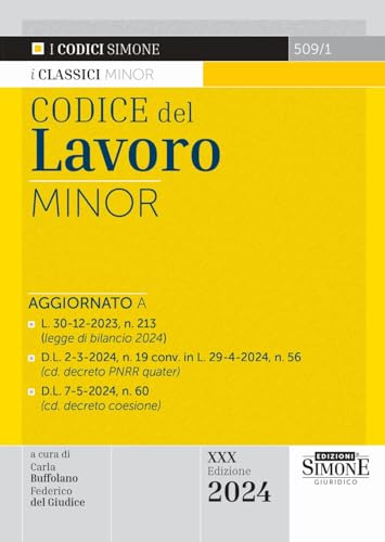 Codice Del Lavoro Minor