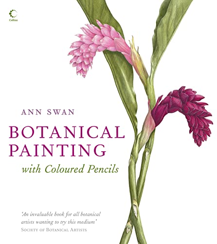 Botanical Painting With Coloured Pencils
