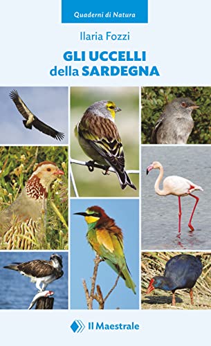 Gli Uccelli Della Sardegna