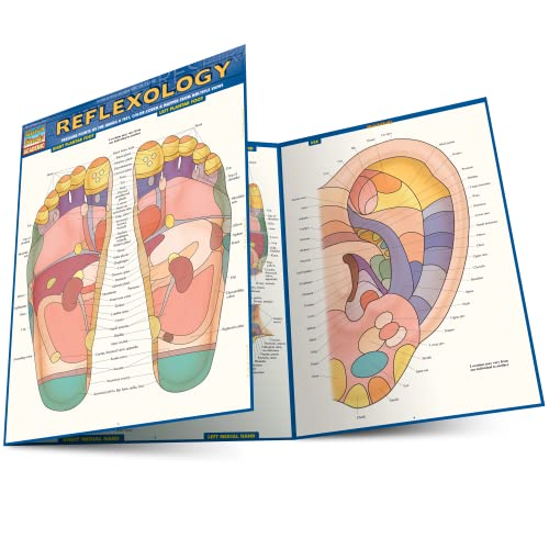 Reflexology: Pressure Points Of The Hands & Feet, Color-Coded & Mapped From Multiple Views