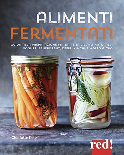 Alimenti Fermentati. Guida Alla Preparazione Fai-Da-Te Di Lievito Naturale, Yogurt, Sauerkraut, Kefir, Kimchi E Molto Altro. Ediz. Illustrata
