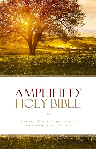 Holy Bible: Amplified, Captures The Full Meaning Behind The Original Greek And Hebrew