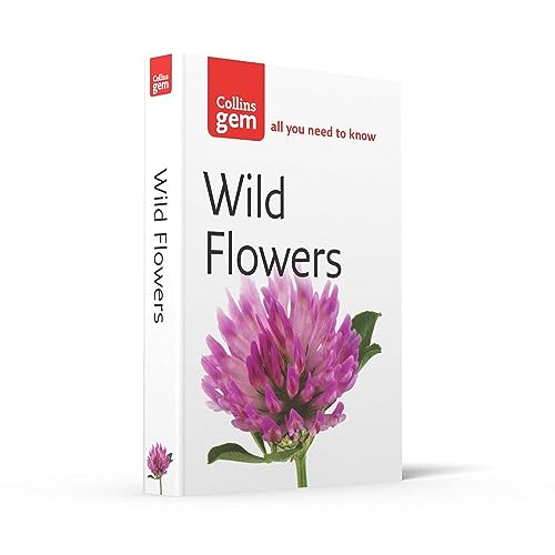 Wild Flowers