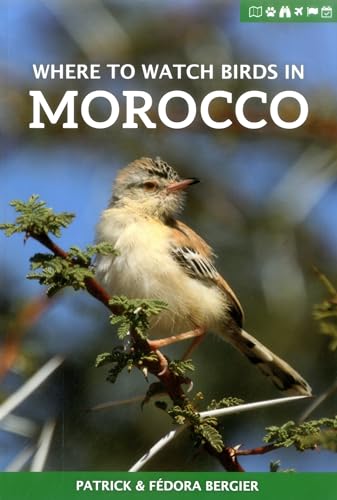 Where To Watch Birds In Morocco