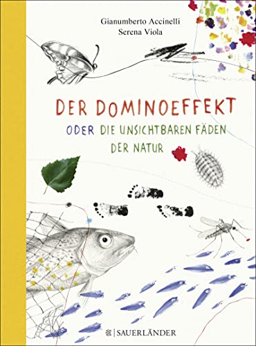 Der Dominoeffekt Oder Die Unsichtbaren Fäden Der Natur
