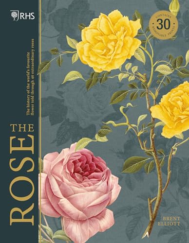 The Rose: The History Of The World'S Favourite Flower Told Through 40 Extraordinary Roses: The History Of The World'S Favourite Flower In 40 Roses