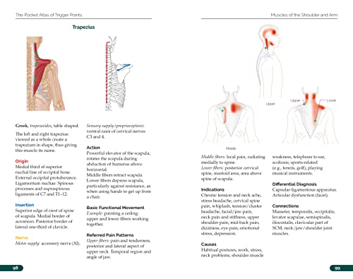 The Pocket Atlas Of Trigger Points A User-Friendly Guide To Muscle Anatomy, Pain Patterns, And The Myofascial Network For Students, Practitioners, And