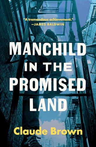 Manchild In The Promised Land