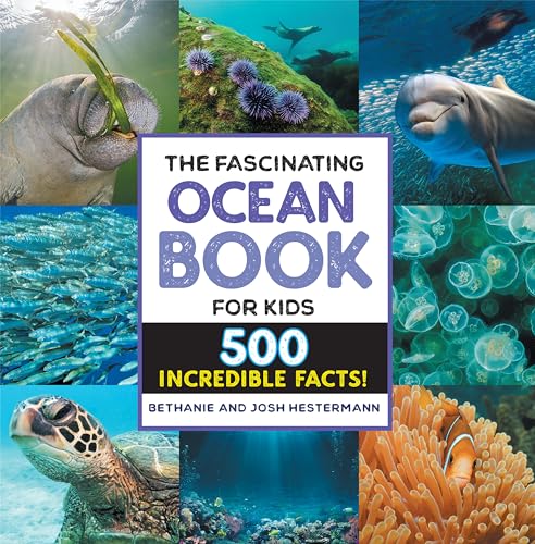The Fascinating Ocean Book For Kids: 500 Incredible Facts!