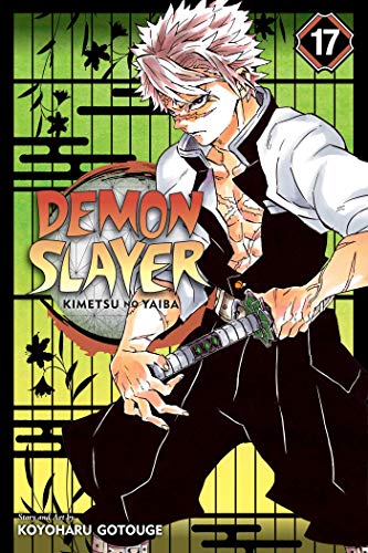 Viz Demon Slayer Kimetsu No Yaiba Gn Vol. 17 Paperback Manga