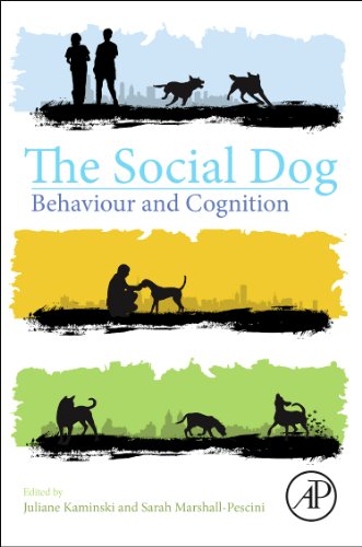 The Social Dog: Behavior And Cognition [Lingua Inglese]