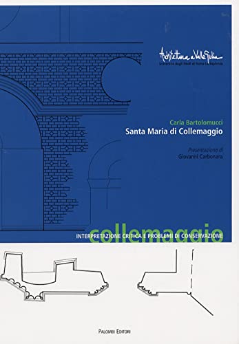 Santa Maria Di Collemaggio. Interpretazione Critica E Problemi Di Conservazione