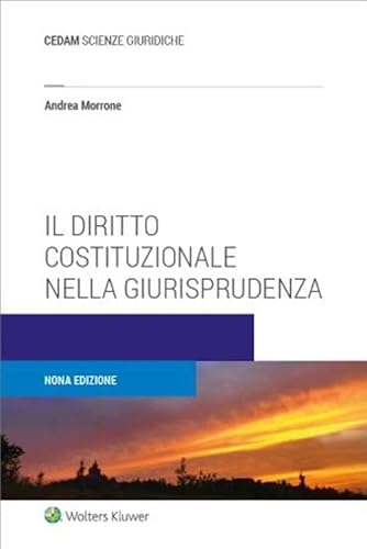 Diritto Costituzionale Nella Giurisprudenza