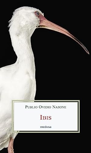 Ibis