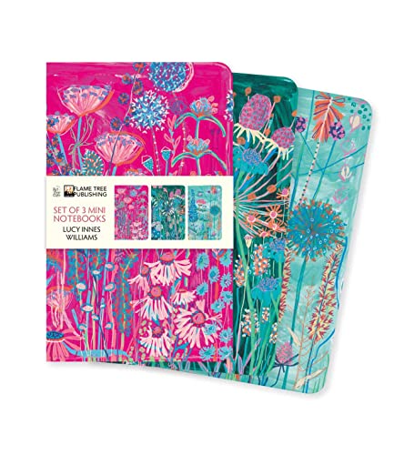 Lucy Innes Williams Set Of Mini Notebooks
