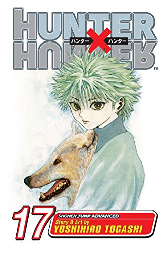 Hunter X Hunter 17: A Fierce Three-Way Struggle
