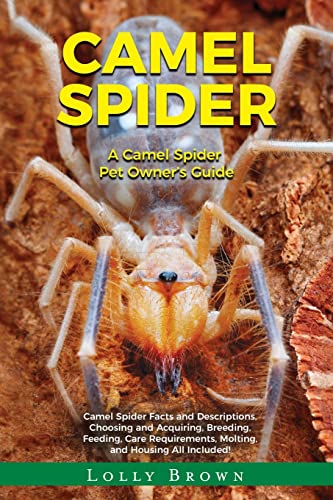 Camel Spider: A Camel Spider Pet Owner'S Guide