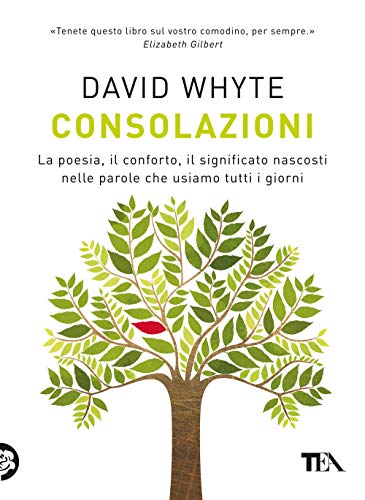 Consolazioni. La Poesia, Il Conforto, Il Significato Nascosti Nelle Parole Che Usiamo Tutti I Giorni