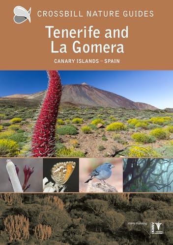 Tenerife And La Gomera: Canary Islands - Spain: 40