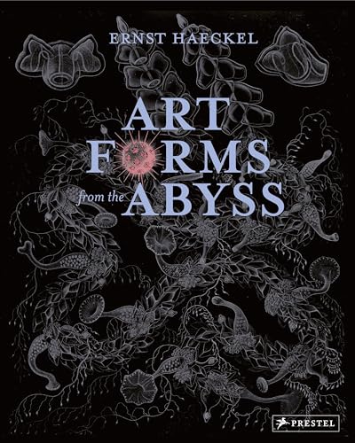 Art Forms From The Abyss: Images From The Hms Challenger Expedition [Lingua Inglese]