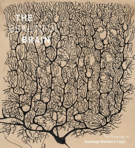 The Beautiful Brain: The Drawings Of Santiago Ramon Y Cajal