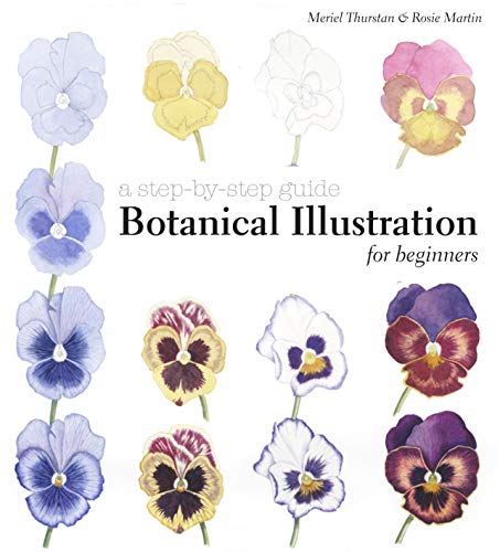 Botanical Illustration For Beginners: A Step-By-Step Guide
