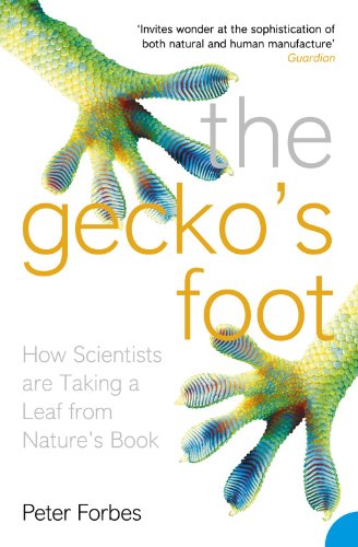 The Gecko'S Foot: How Scientists Are Taking A Leaf From Nature'S Book