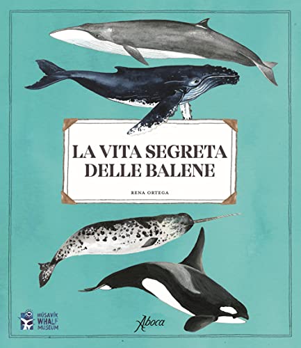 La Vita Segreta Delle Balene